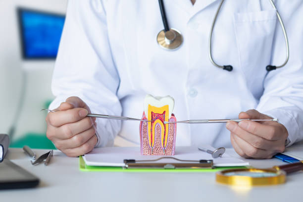 Best Emergency Dental Care for Broken or Chipped Teeth in Maysville, NC